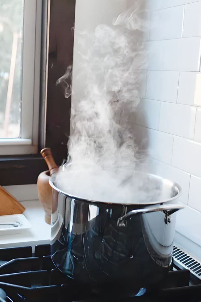 Solange Steam Stockpot 8QT